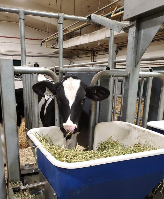 Teaching, Training and Tours – Dairy Research and Technology Centre